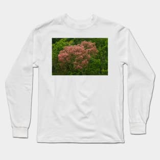 clapink Long Sleeve T-Shirt